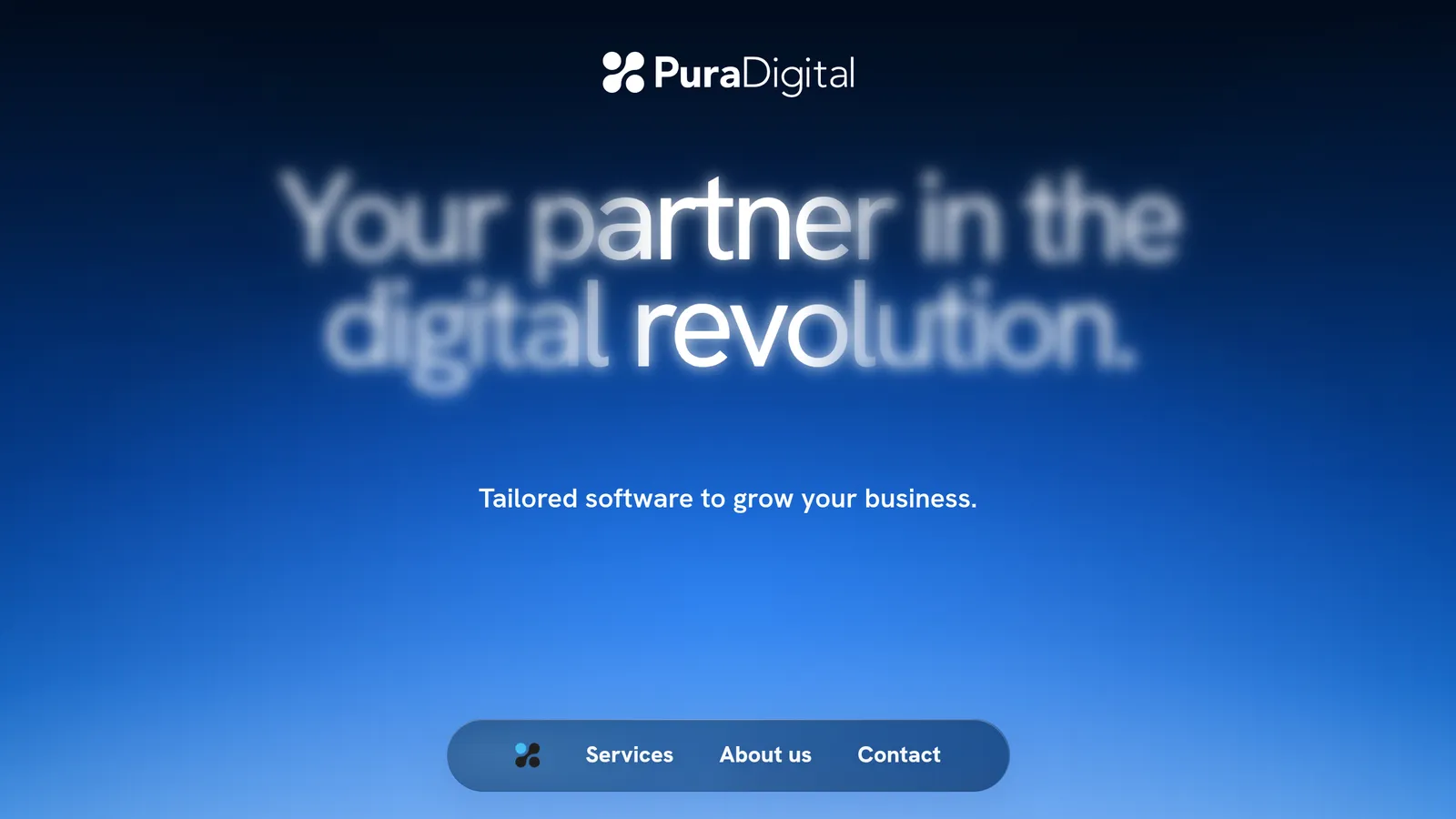 Il sito di Pura Digital